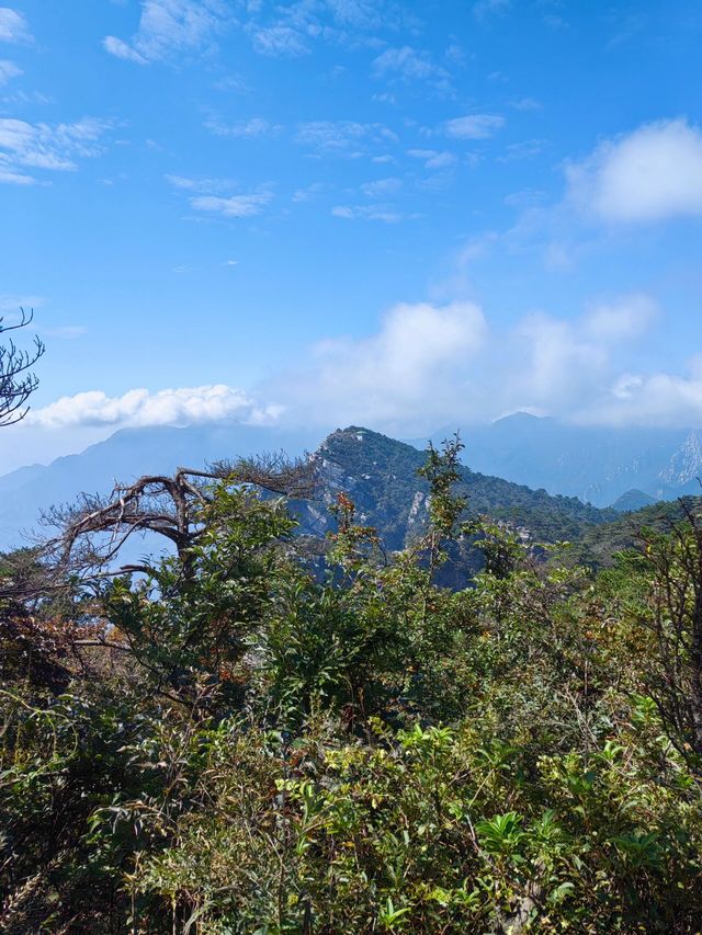 江西廬山｜不識廬山真面目。