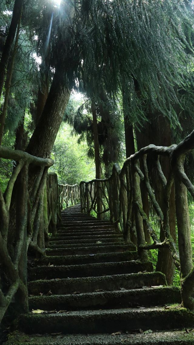 四川|什邡紅峽谷~天然氧吧。