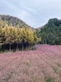 人生是狂野，而非軌道。