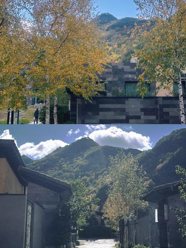 秋天的第一場旅行|神仙秋景裡的寶藏民宿。