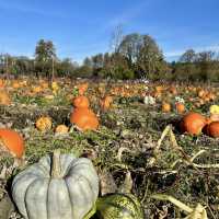 Spooky Halloween Attractions In the Haunted house