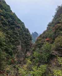 涉縣莊子嶺是一個去了就不想離開的地方。