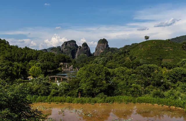 福建武夷山（第四天）。