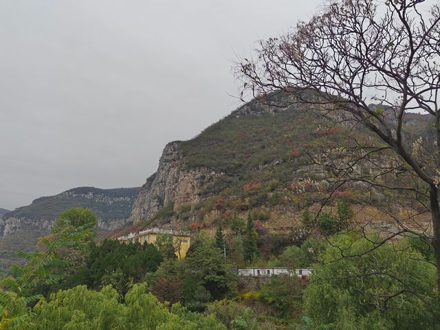 青塔湖濕地公園。