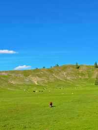新疆 | 邂逅一望無際的草原。