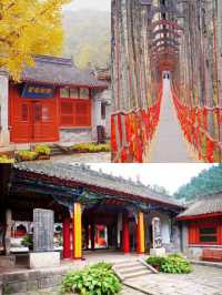 別去圭峰山人擠人了，留壩才是賞秋天花板。