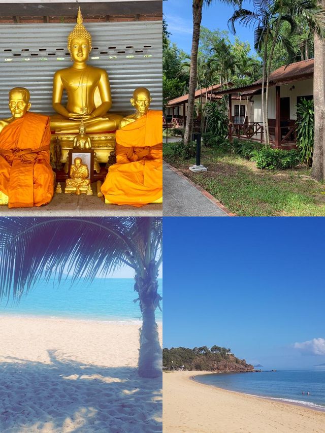 棕櫚椰子海灘度假村，安享熱帶天堂。
