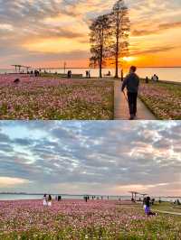 答應我！一定要去上海後花園阿勒泰！附路線哦！。