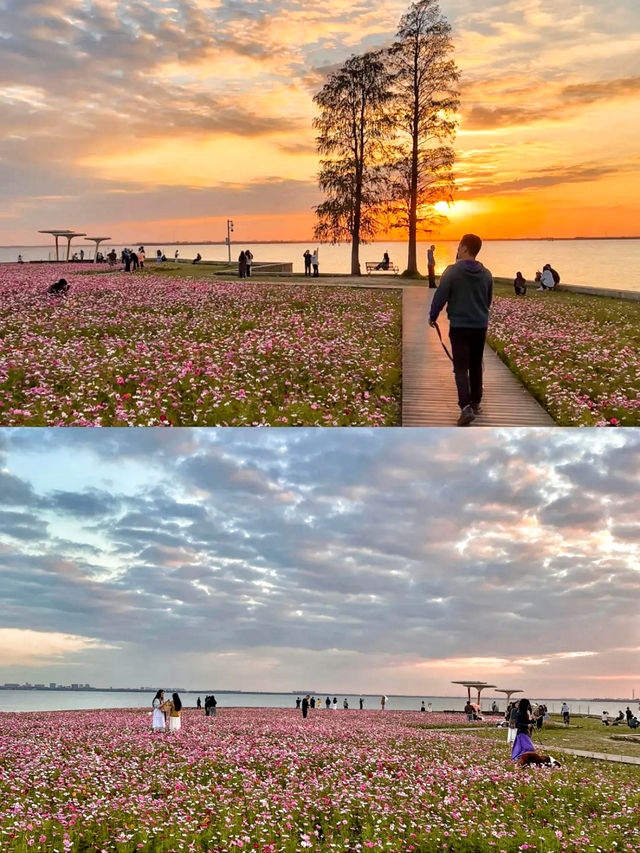 答應我！一定要去上海後花園阿勒泰！附路線哦！。