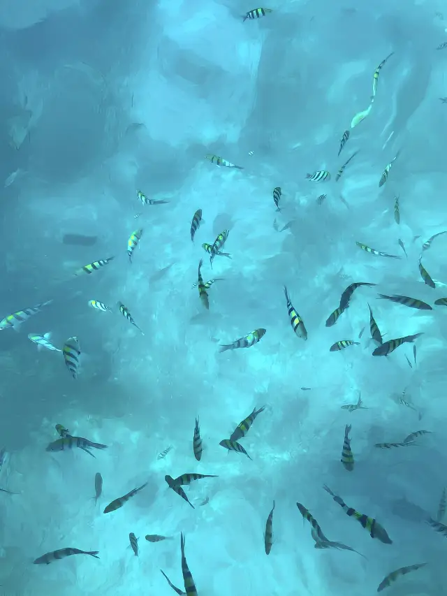 馬來西亞斗湖：絕美海景，度假天堂。