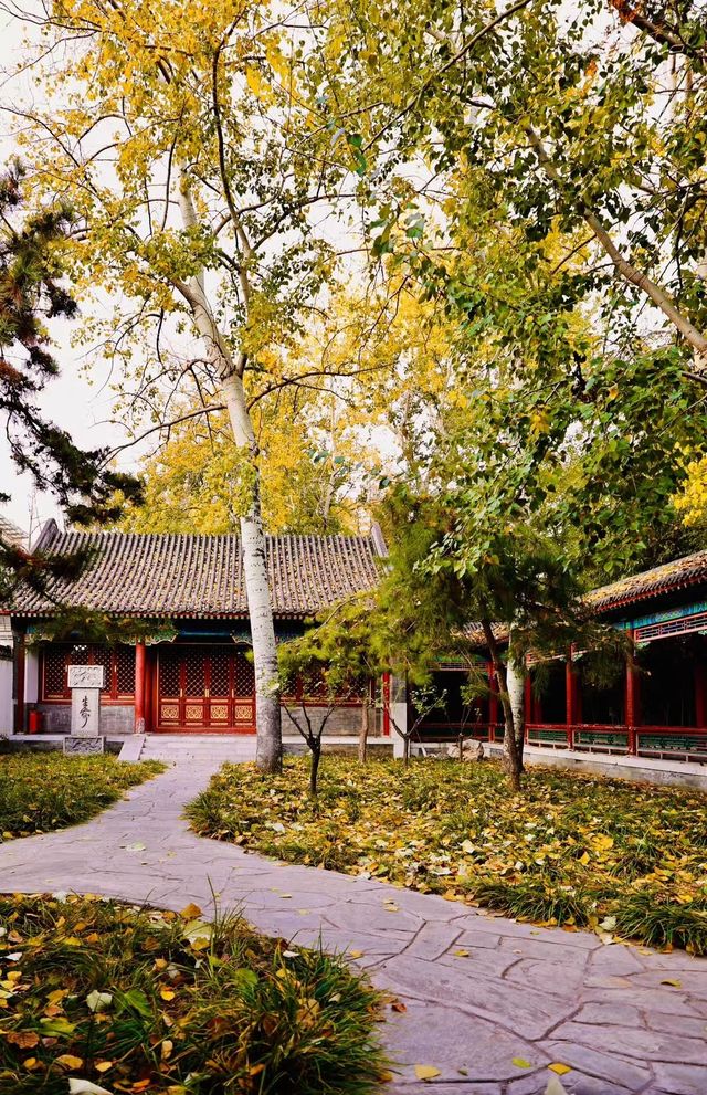 暖陽下的大觀園，一幅寧靜而美麗的畫面！。