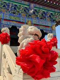 鞍山玉佛寺｜靈玉聖境中的禪意漫遊奇旅！。