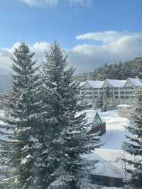 北海道度假村入住初體驗獻給了雪白的北海道。