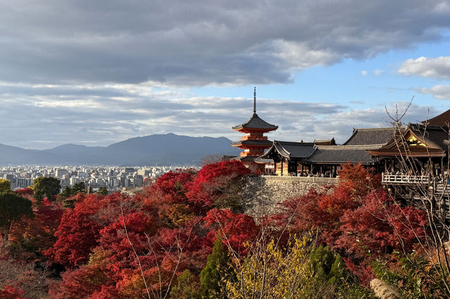 京都｜清水寺紅葉瀑布 風光無限