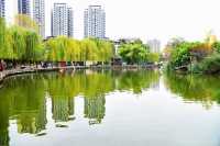 神奇動物在成都｜與自然零距離接觸