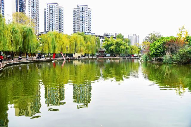 神奇動物在成都｜與自然零距離接觸