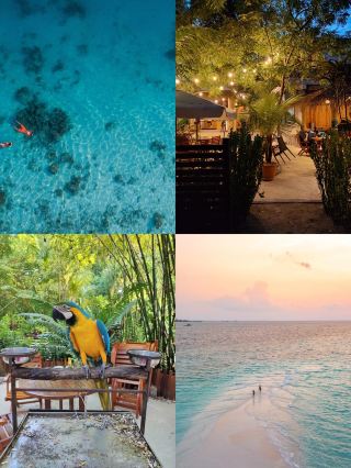 Maldives | Charming Ostrov Hotel