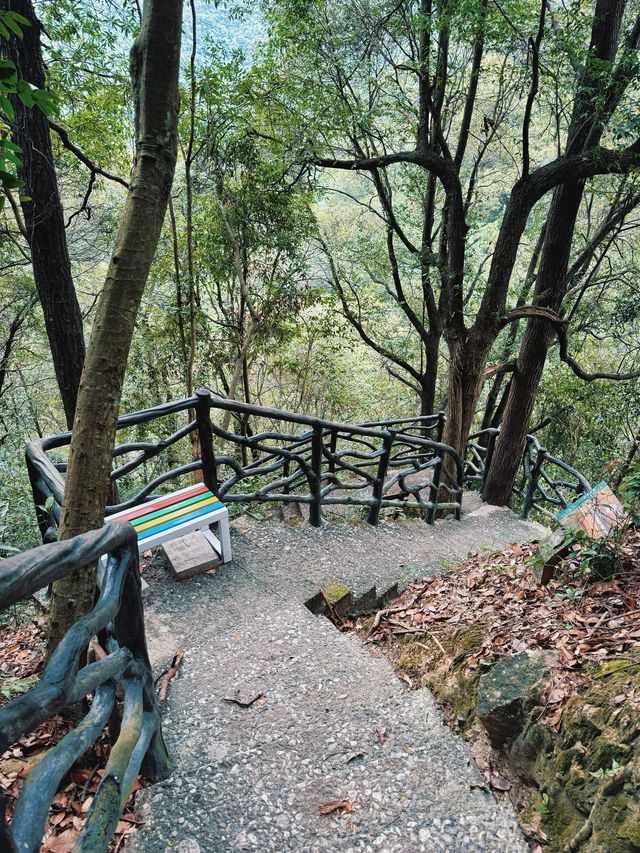 2日暢遊淳安 玩轉美景不踩雷