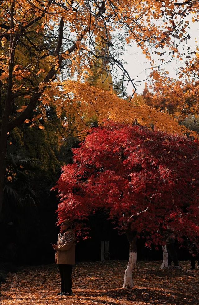 你與常熟幾分熟？