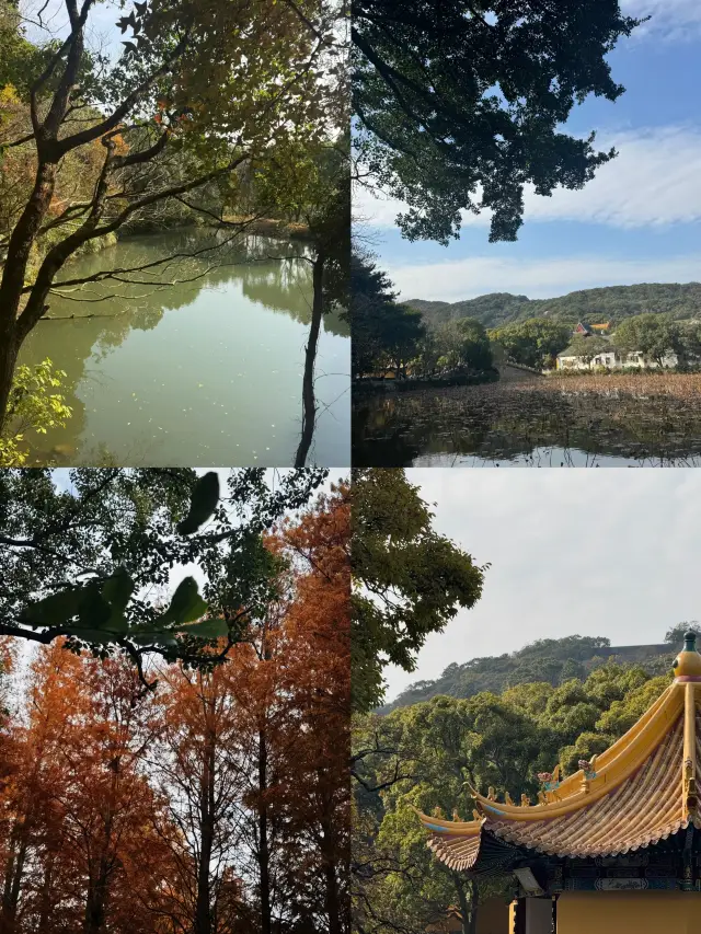 歲末普陀山，祈願新一年的美好
