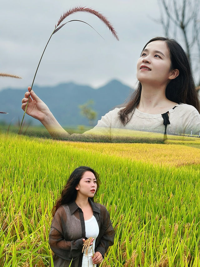 白雲鄉的田園牧歌～假期玩轉福州永泰白雲鄉攻略