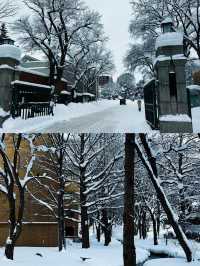 探秘日本北海道札幌，冬日雪景美如畫！