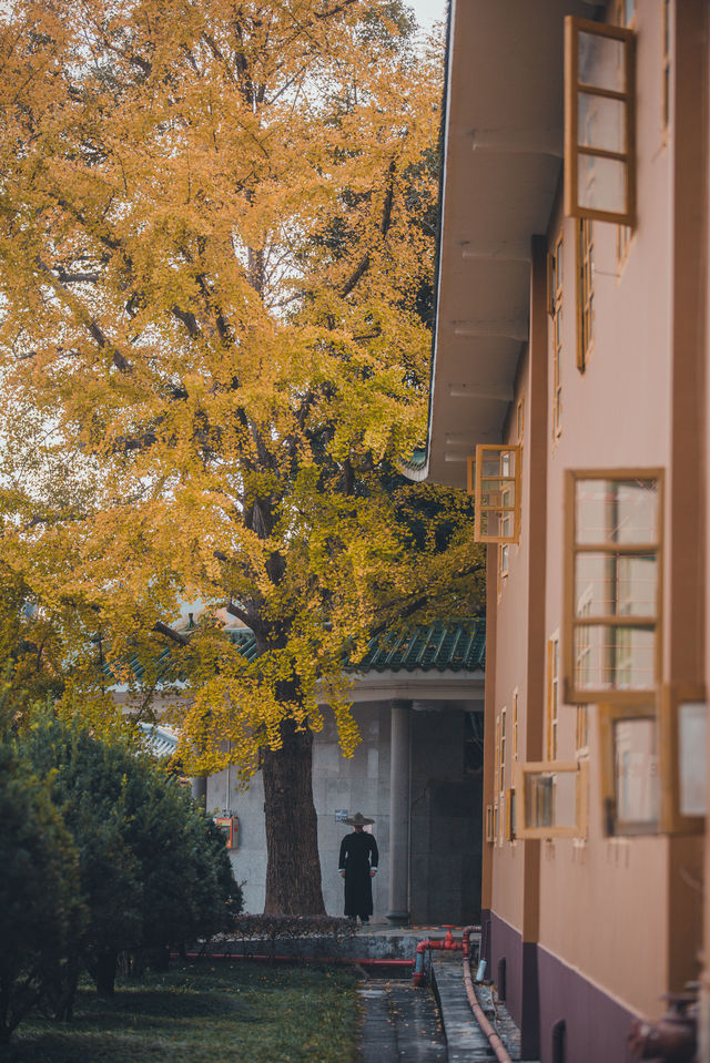 韶關雲門寺 | 佛國山川間，唐風庭院深
