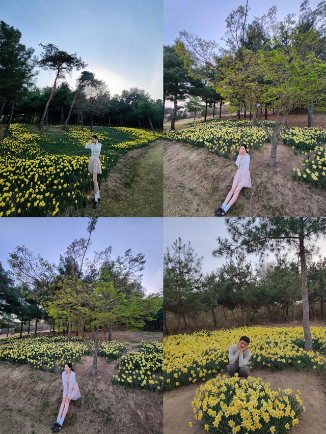 禮山郡：韓韻深處的靜謐瑰寶
