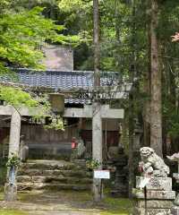 日本高知竹林寺｜禪意寶藏之旅