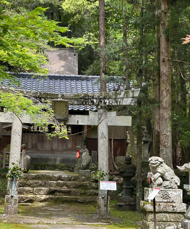 日本高知竹林寺｜禪意寶藏之旅