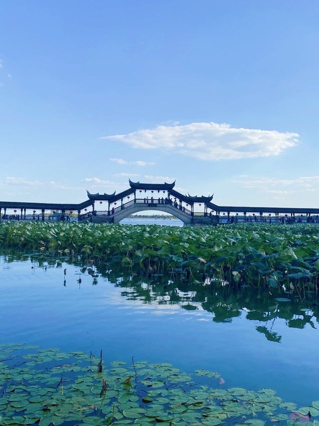 上海周邊遊丨昆山計家墩遊記