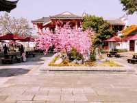 Nanhai CCTV Movie Studio: Try Different Roles!