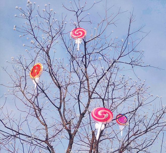 冬日清晨，在海邊虞美人廣場踏雪