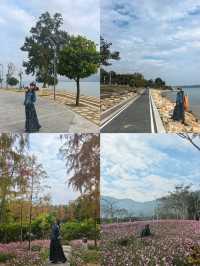 深圳白沙灣公園：有山有海有花的夢幻之地