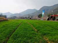 綠水青山就是金山銀山~~餘村