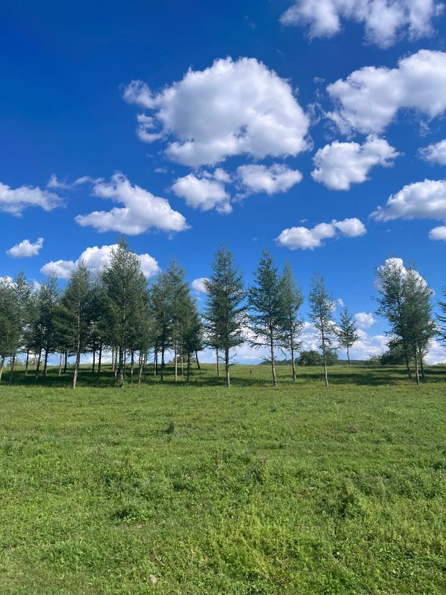 木蘭圍場等地逗留了3天 我的建議是