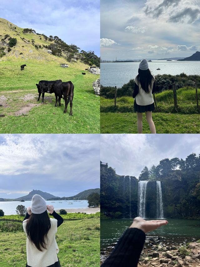 探秘旺阿雷：新西蘭北島的寶藏秘境