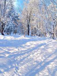 吉林-長白山天池滑雪 看這篇攻略就夠了