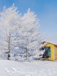 反向旅行！景美人少小眾賞雪地被我找到了