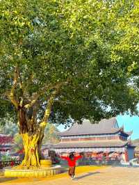在廣東！！我唯一想去無數次的超大免費寺廟！！