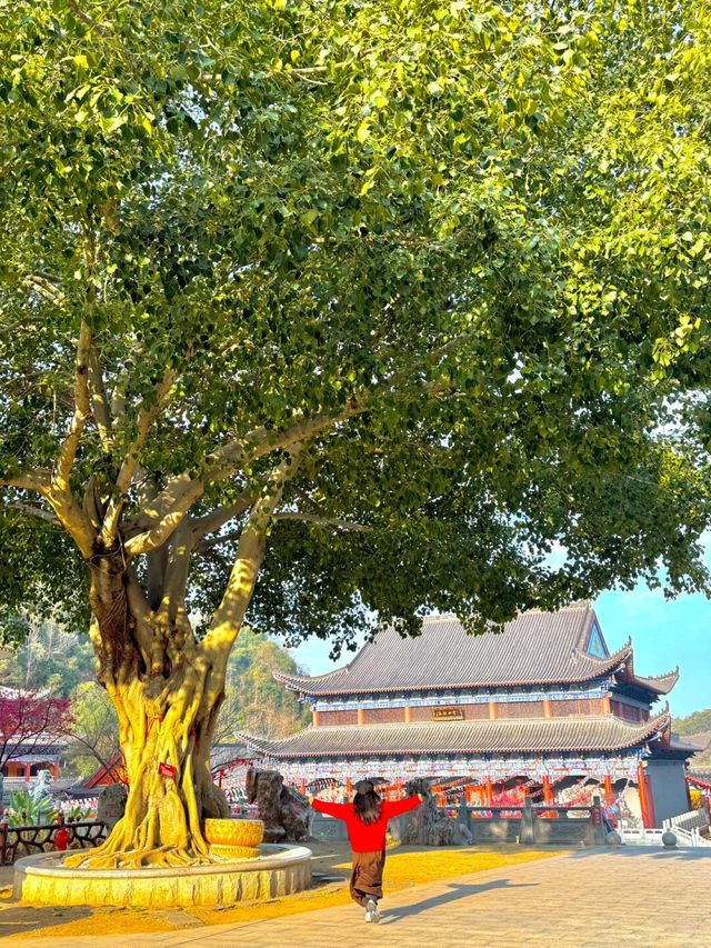 在廣東！！我唯一想去無數次的超大免費寺廟！！