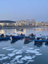 冬日海邊|凍海與海鷗的浪漫邂逅