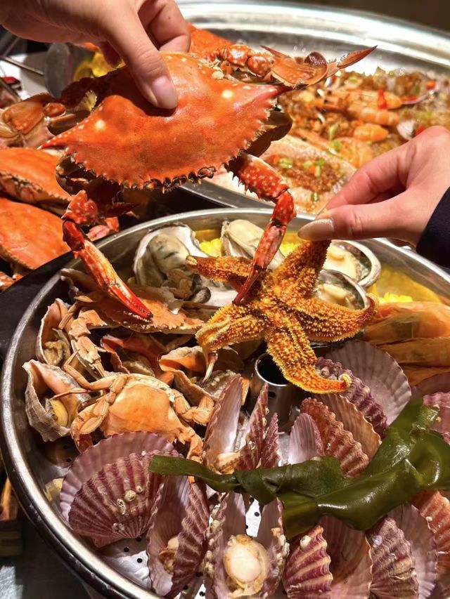 冬日海邊|凍海與海鷗的浪漫邂逅