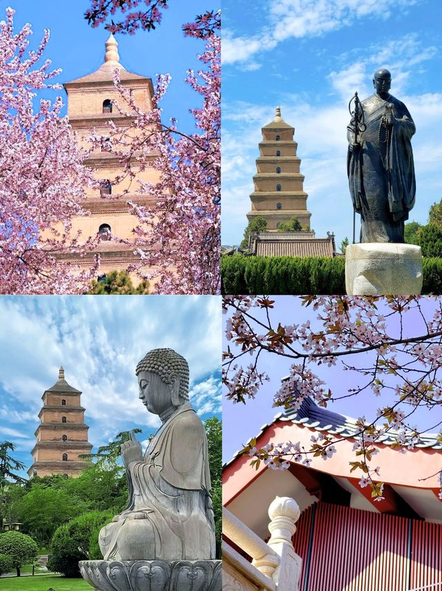 西安踏春好去處！快記低