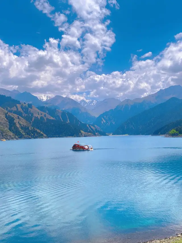 Urumqi to Yining: A Forest Adventure for Seniors