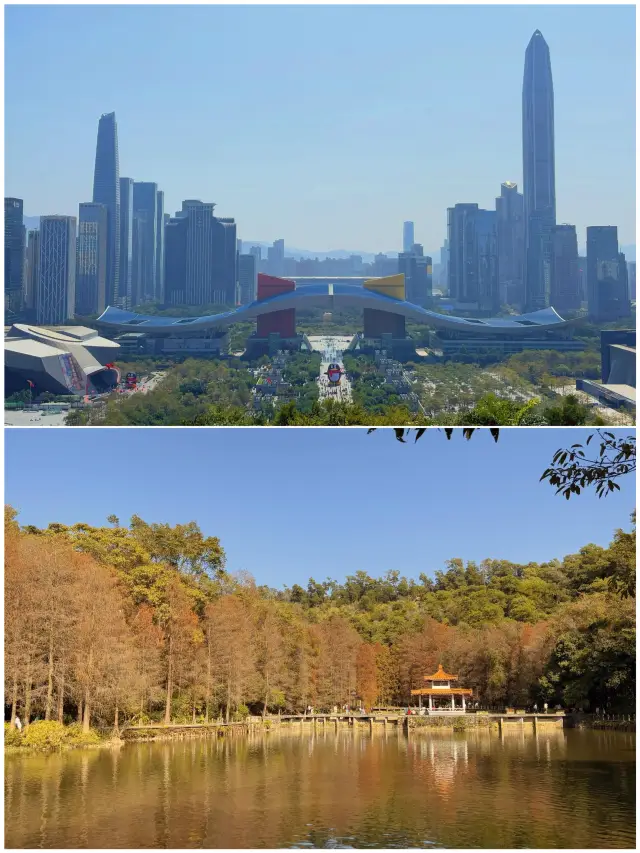 I took my kids to Shenzhen and my spending habits were shattered! Visiting a city because of a song