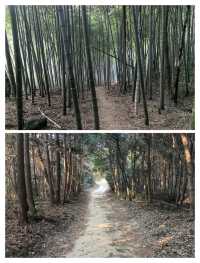 探秘寧波千年古鎮，鳴鶴之旅不負好時光