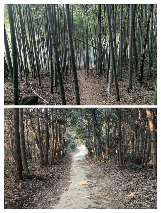 探秘寧波千年古鎮，鳴鶴之旅不負好時光