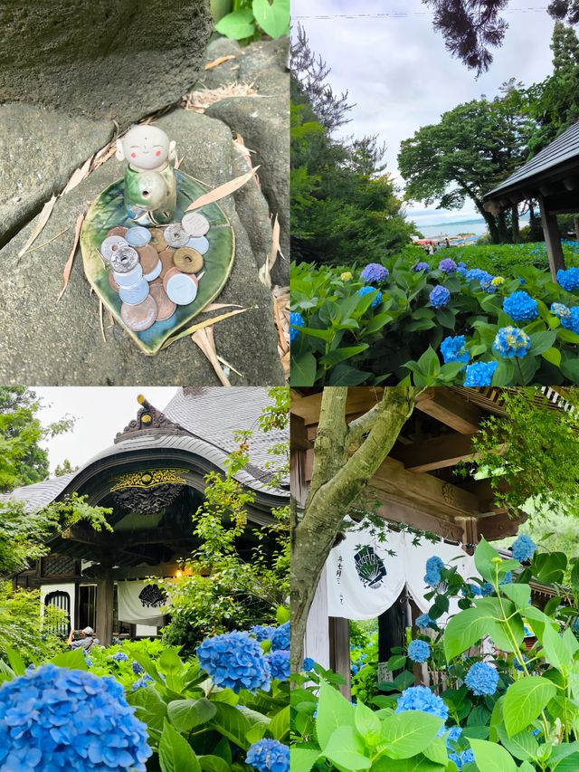 誤入童話！日本秋田雲昌寺的繡球花海仙境
