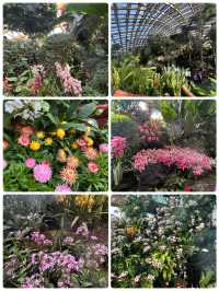 冬日裏的太原植物園